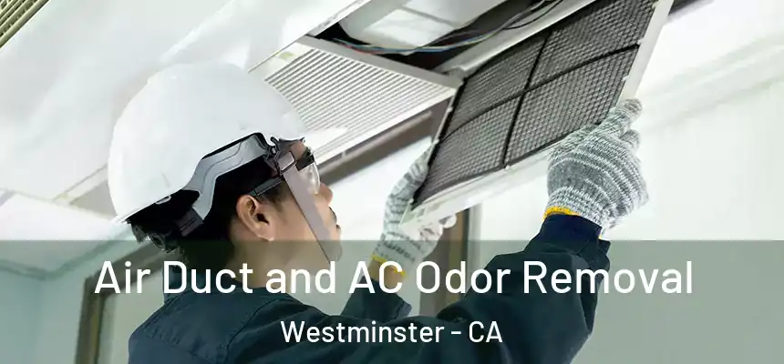  Air Duct and AC Odor Removal Westminster - CA