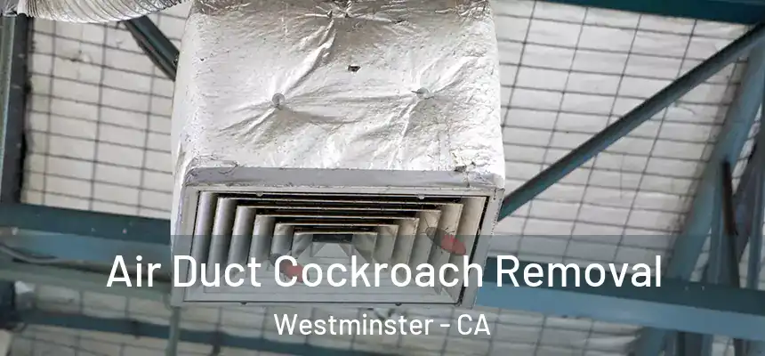  Air Duct Cockroach Removal Westminster - CA