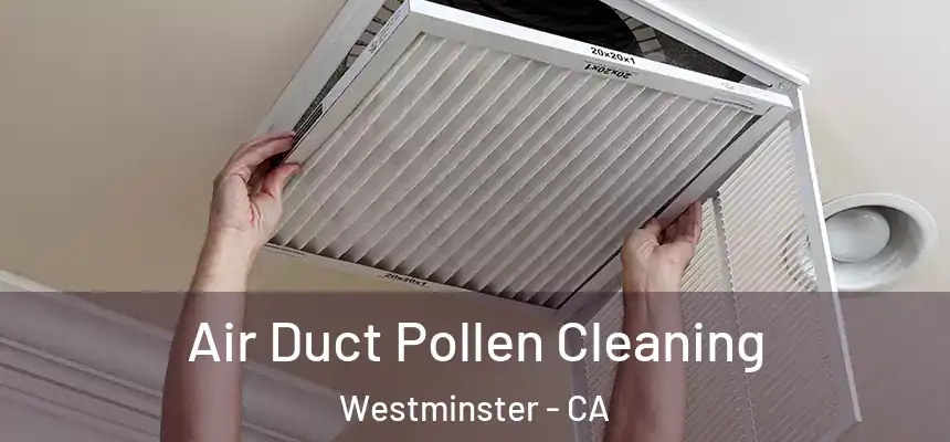 Air Duct Pollen Cleaning Westminster - CA