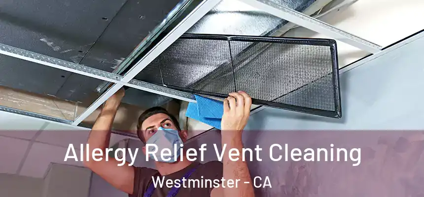 Allergy Relief Vent Cleaning Westminster - CA