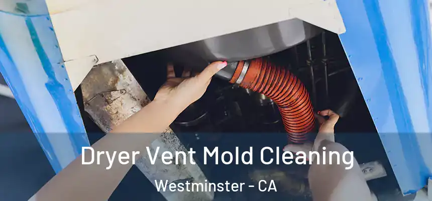Dryer Vent Mold Cleaning Westminster - CA
