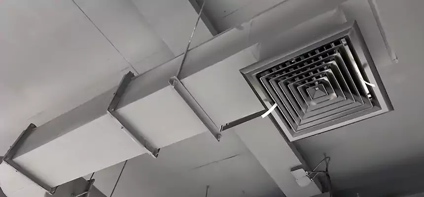 Our Pest Removal From Ducts Services in Westminster, CA