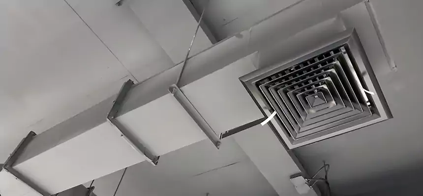 Our Rodent Droppings In Vents Services in Westminster, CA