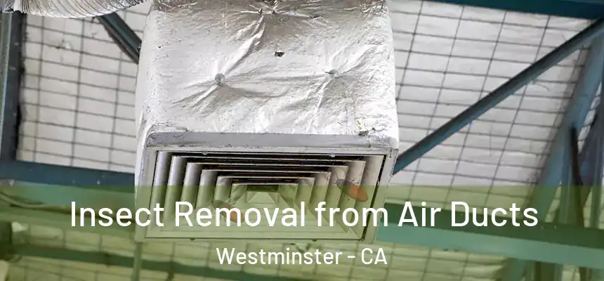  Insect Removal from Air Ducts Westminster - CA