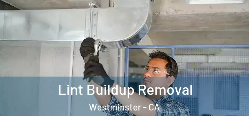  Lint Buildup Removal Westminster - CA