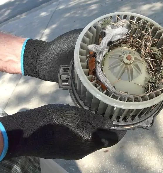 About Air Duct Rat Removal in Westminster, CA