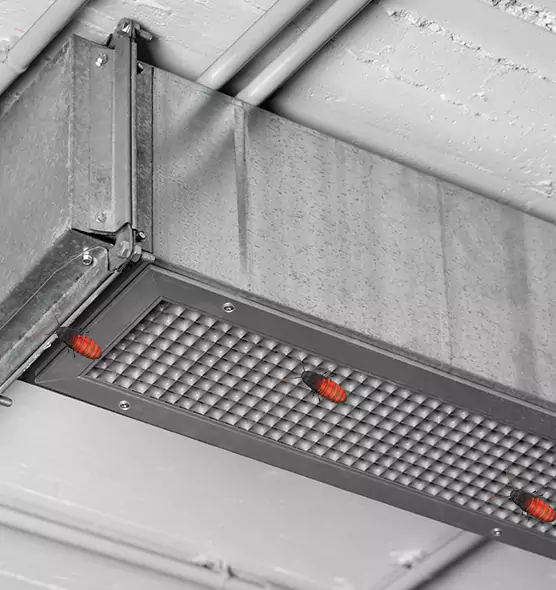 Affordable Insect Removal from Air Ducts in Westminster, CA