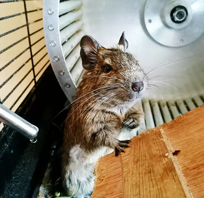 Why Homeowners & Businesses Trust Us Westminster, CA