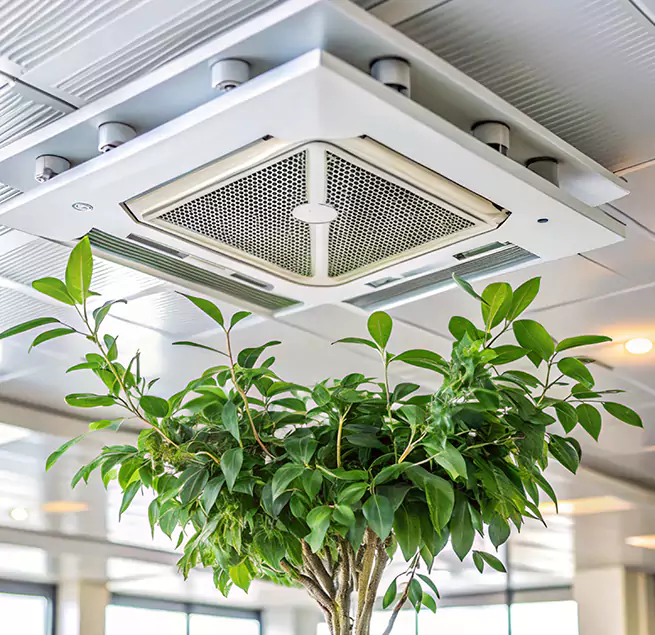 Why Homeowners & Businesses Trust Us in Westminster, CA