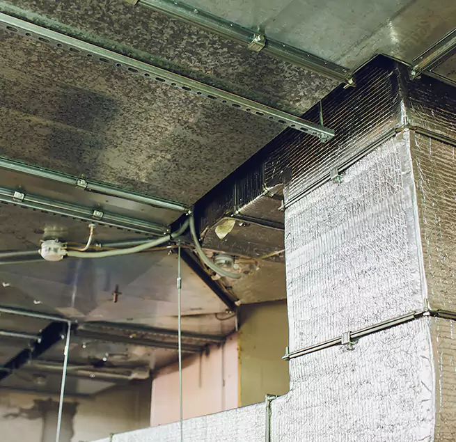 Why Homeowners & Businesses Trust Us in Westminster, CA?